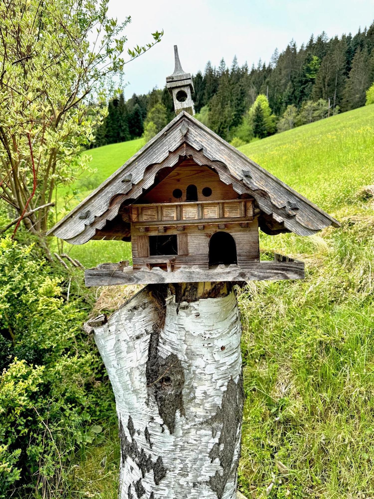 5* Panorama Chalet Mit Sauna By Belle Stay Going am Wilden Kaiser Kültér fotó